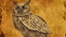 October Night Games - permainan dalam genre Bergiliran