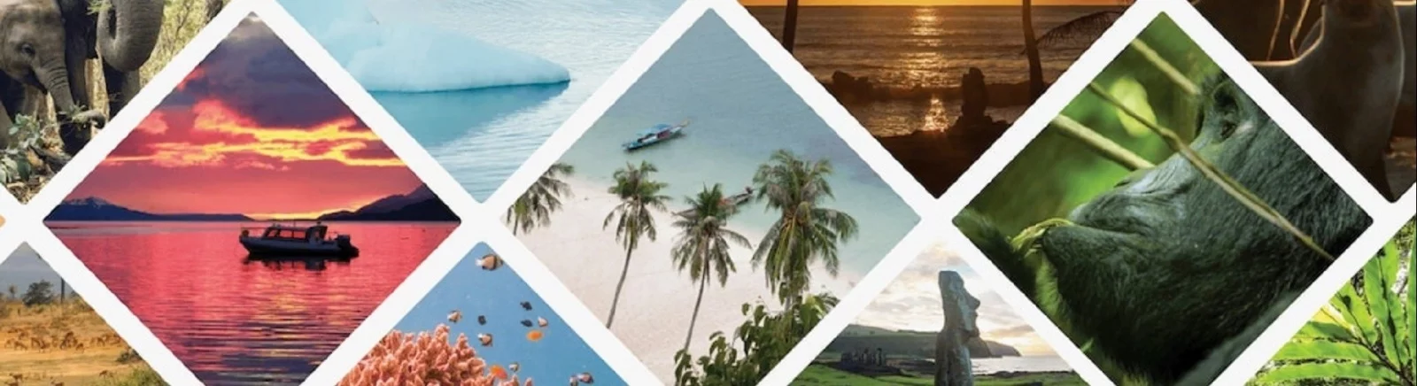 File untuk Wanderlust: Transsiberian - trainer, mod, penyimpanan, patch