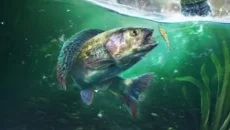 Ultimate Fishing Simulator 2 - permainan dalam genre Simulator