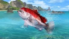 Fishing Clash - permainan dalam genre Permainan olahraga