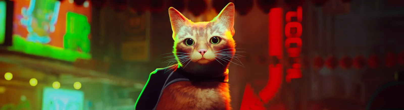 Karakter dan pemain untuk Stray