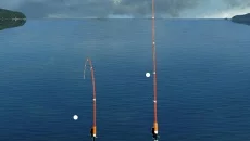 True Fishing - permainan dalam genre Simulator