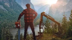 Lumberjack's Dynasty
