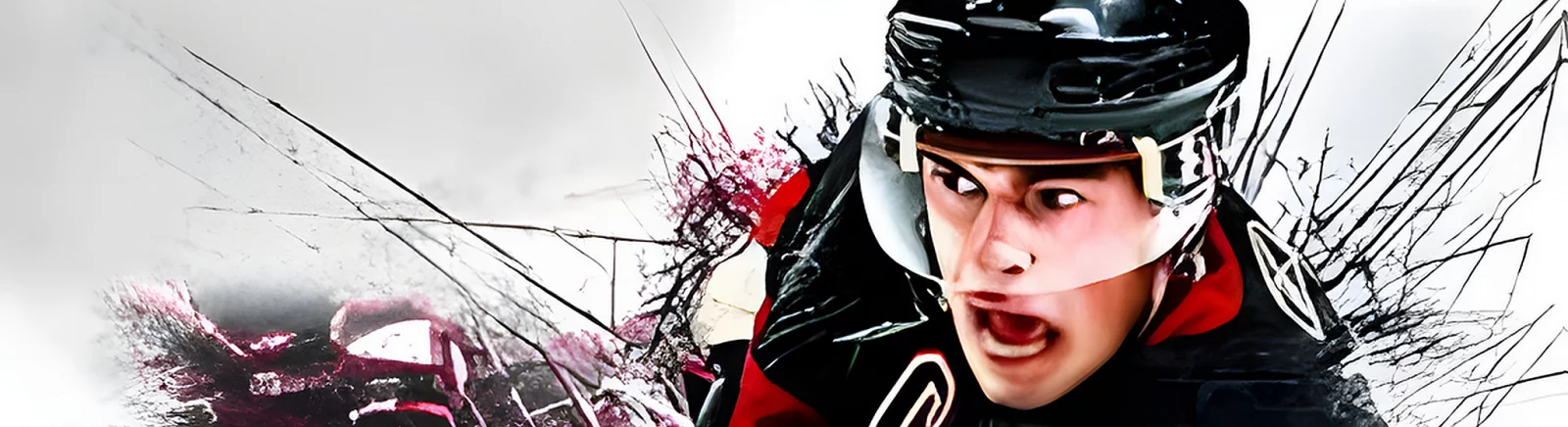 Ulasan negatif tentang NHL 11 — 0 pendapat