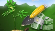 Cannabis Farmer Strain Master