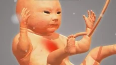 9 Months - permainan dalam genre Simulator
