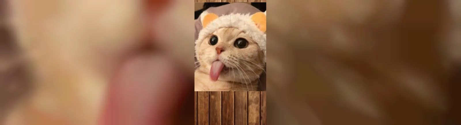 Semua ulasan dan penilaian Healing Matching Puzzle — 0 pendapat