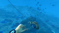 Bodies of Water VR