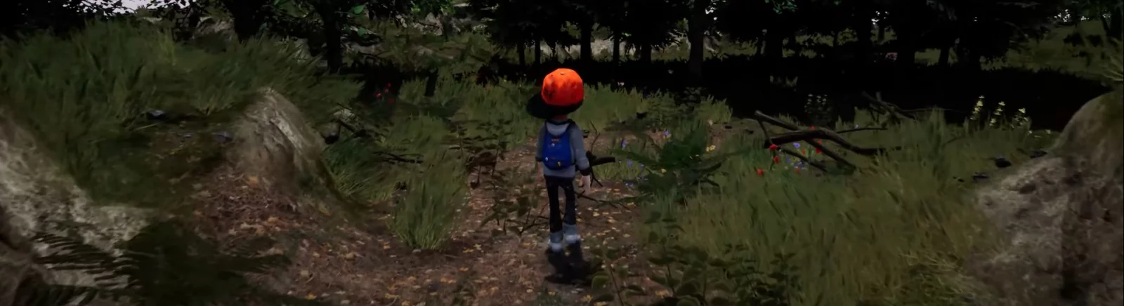 Tanggal rilis Walk di berbagai negara di dunia