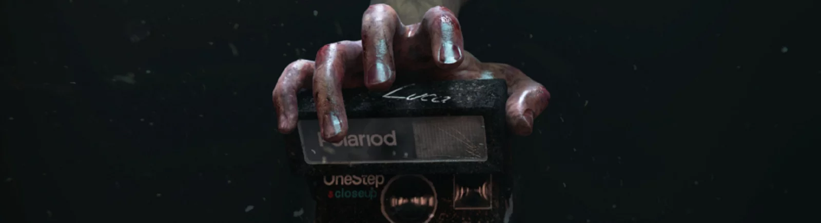 Beli MADiSON murah, diskon hingga 90% 🏷️, perbandingan harga di berbagai toko