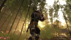 Shadow the Ronin: The Revenge - permainan dalam genre Daring