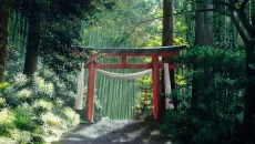 Where The Stars Brought Us - permainan dalam genre Fantasi / abad pertengahan