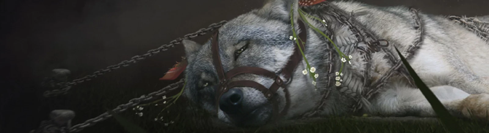 Tanggal rilis Soulframe di berbagai negara di dunia