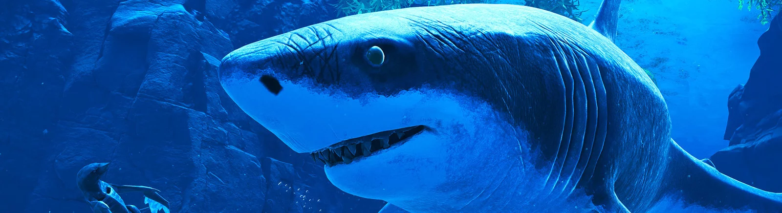 Tanggal rilis Glaciered di berbagai negara di dunia