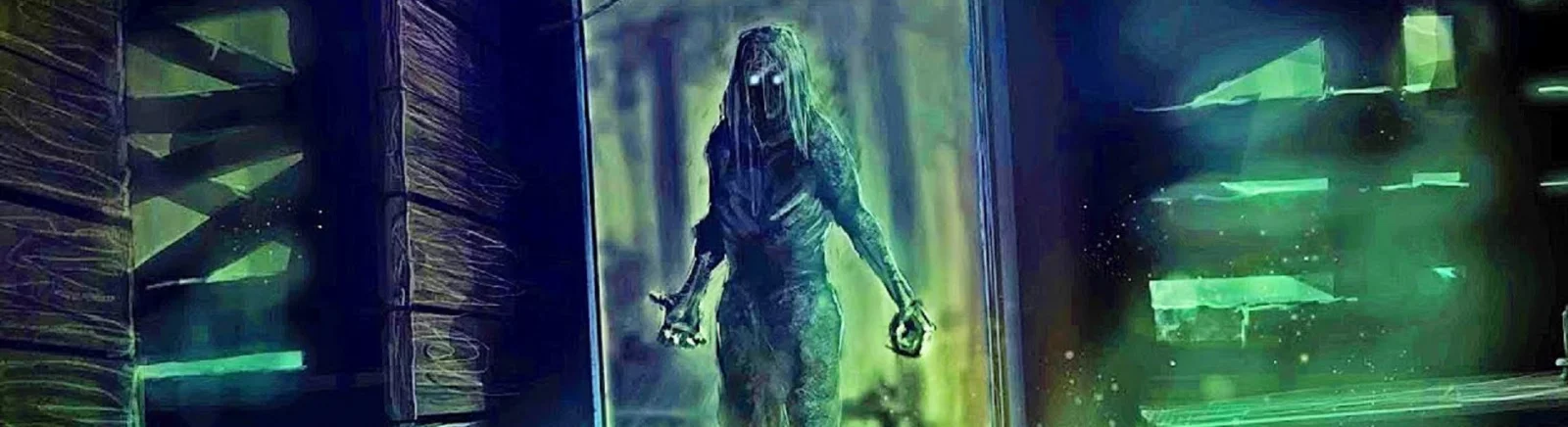 Forum The Cursed Forest