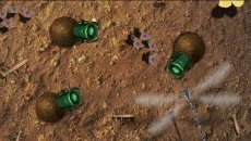 Isopod A RolyPoly Science Game - permainan dalam genre Permainan edukatif (Pendidikan)