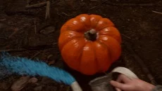 Hallowed Pumpkins - permainan dalam genre Horror bertahan hidup