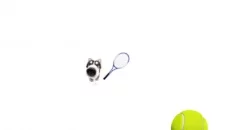 Cat Tennis - Meme Game - permainan dalam genre Arkade