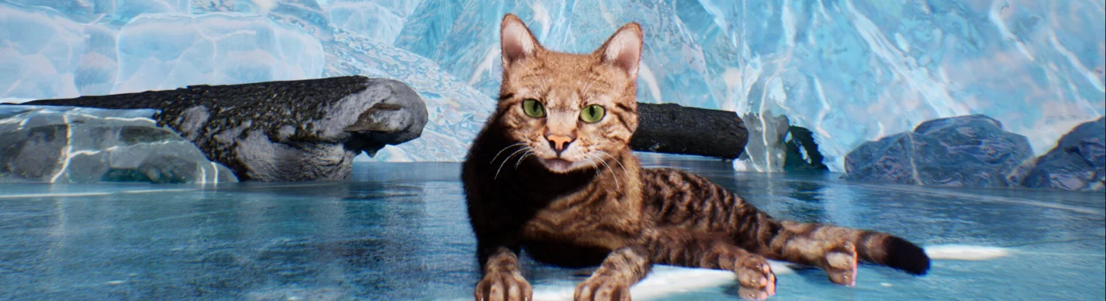 Beli Super Cat Simulator murah, diskon hingga 90% 🏷️, perbandingan harga di berbagai toko
