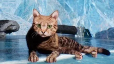 Super Cat Simulator - permainan dalam genre Petualangan