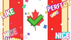 Flag Painting Puzzle - tanggal rilis