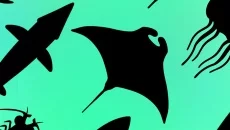 Idle Aquaria: Ocean Evolution - tanggal rilis untuk Android