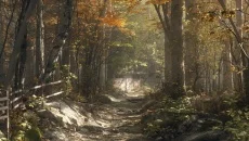 Aurora Hills: Chapter 1 - tanggal rilis untuk iOS