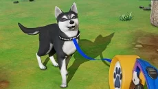 My Dog Life: Puppy Island Park - permainan dalam genre Pandangan dari orang pertama