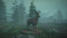 All We Need - permainan dalam genre Pandangan dari orang pertama