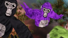 Gorilla Tag