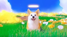 My Little Puppy - tanggal rilis