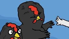 Broilers - permainan dalam genre Permainan kasual